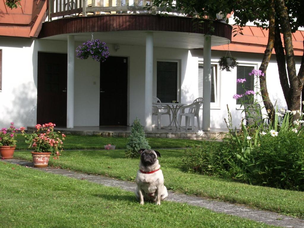 Maenni Guesthouse Haapsalu Szoba fotó